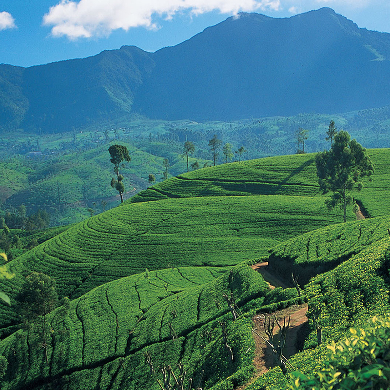 Sri Lanka best destination